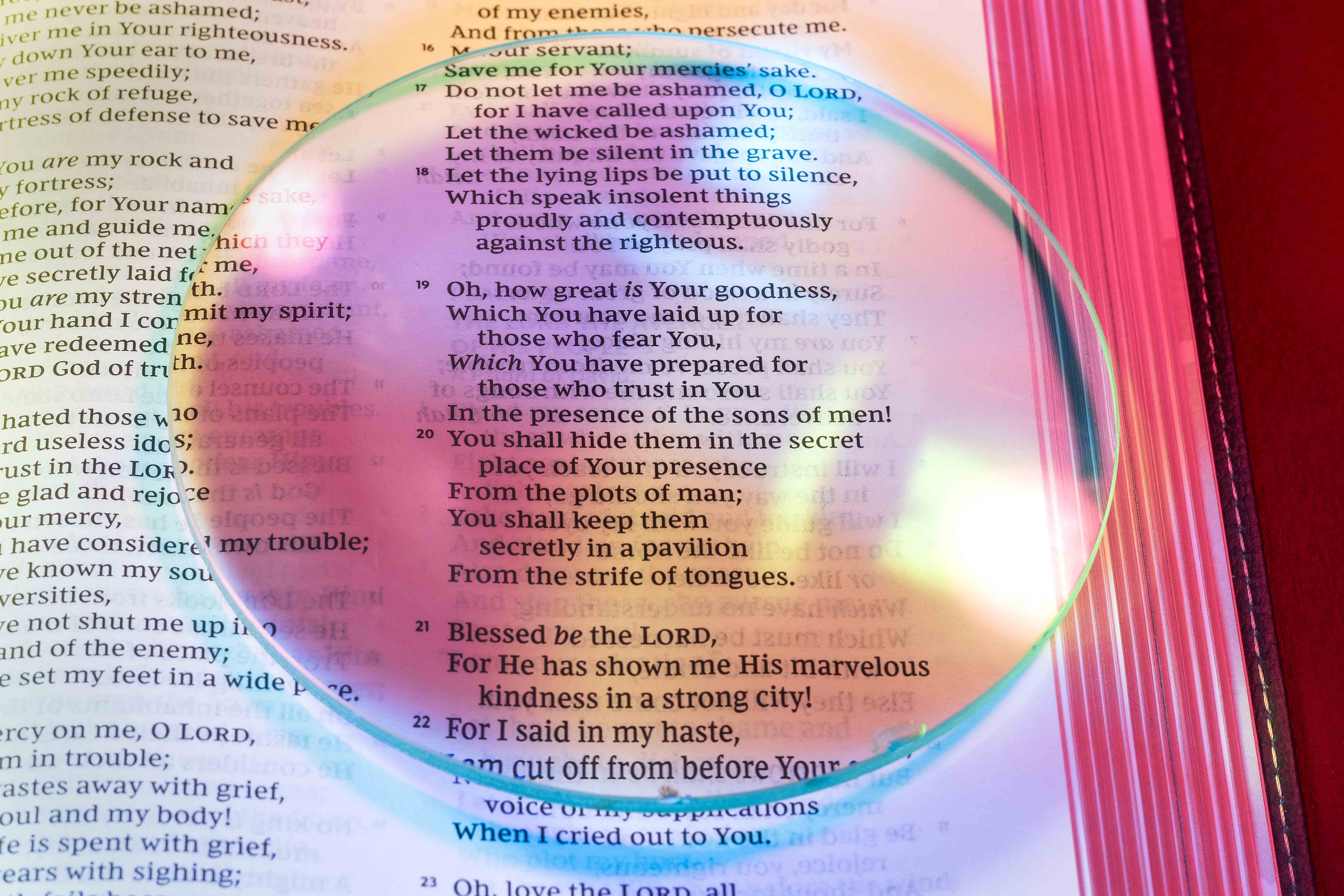 0F0A0025PsalmThirtyOneNineteenLR