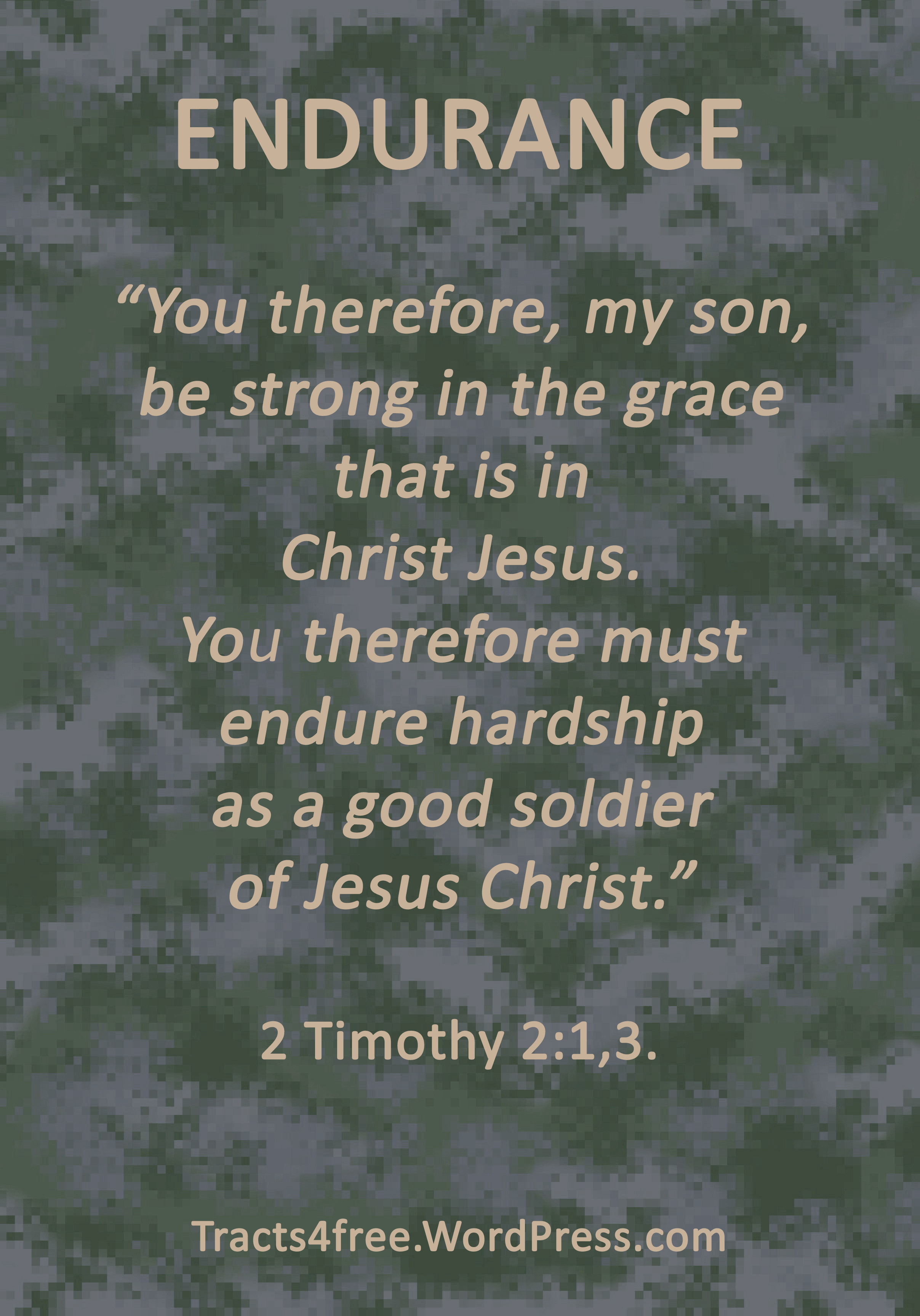Endurance Christian poster. 2 Timothy 2:1,3.